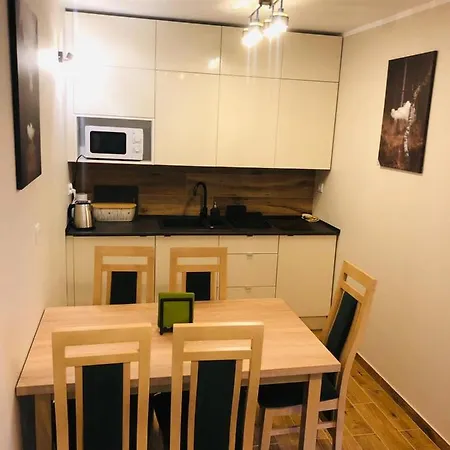Apartament Bajka Krynica-Zdrój Esterno foto